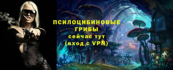 синтетический гашиш Каменногорск