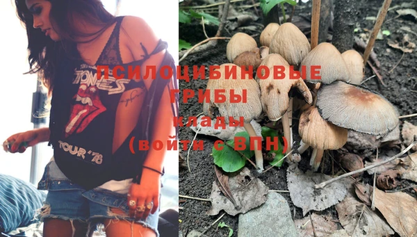 синтетический гашиш Каменногорск