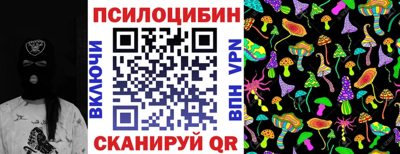 Псилоцибиновые грибы Cubensis  Купить закладки  Гремячинск 